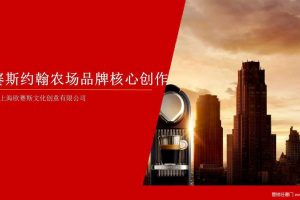 约翰农场品牌核心创作方案（PPT）