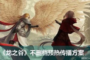 游戏《龙之谷》2017不删档预热传播方案（PDF）