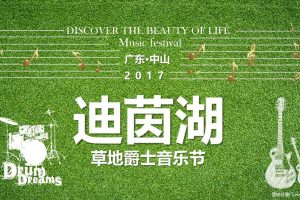 雅居乐民森迪茵湖小镇2017草地音乐节活动方案（PPT）