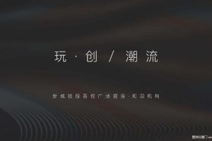 新城控股吾悦广场2017策略方案（PDF）