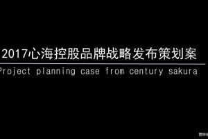 心海控股2017品牌战略发布策划方案（PPT）