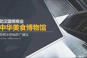 武汉国博商业2017新媒体营销推广建议方案（PDF）