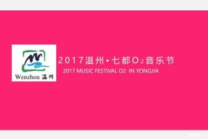 温州七都2017O2音乐节策划案（PPT）