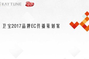 卫宝2017品牌电商传播方案（PPT）