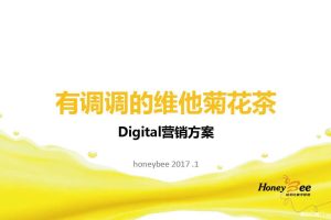 维他菊花茶2017数字营销方案（PDF）
