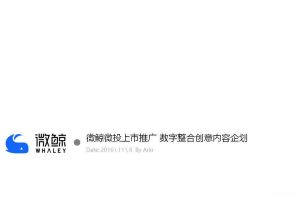 微鲸魔方2017上市推广-数字整合创意内容企划方案（PPT）