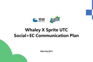 微鲸电视X雪碧2017社会化+电商营销推广方案（PDF）