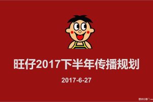 旺仔2017下半年传播规划方案（PPT）