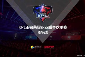 王者荣耀2017KPL秋季赛招商通案（PDF）
