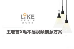 王老吉X毛不易-视频创意方案（PPT）