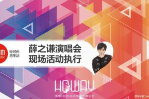 统帅2017薛之谦演唱会现场活动执行方案（PPT）