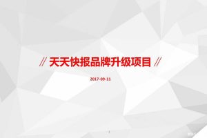 天天快报2017品牌升级创意策略方案（PDF）