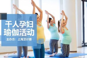 2017上海千人孕妇瑜伽项目招商方案（PPT）
