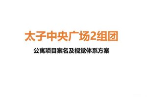太子中央广场2组团2017公寓项目案名及视觉体系方案（PPT）