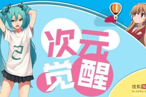 搜狐视频自制次元系列2017整合营销合作方案（PPT）