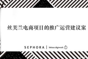丝芙兰电商项目推广运营建议方案（PDF）