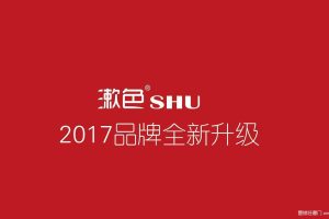 漱色2017品牌定位升级方案（PDF）