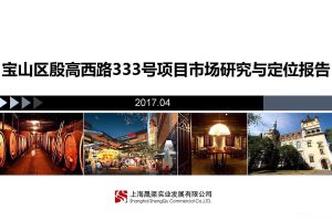 上海宝山区殷高西路333号商业体项目市场研究与定位方案（PDF）