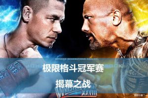 商场活动-极限格斗冠军赛活动方案（PPT）