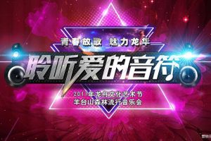 2017龙舟文化艺术节羊台山森林流行音乐会策划案（PPT）