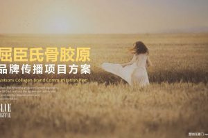 屈臣氏骨胶原系列2017品牌推广方案（PDF）