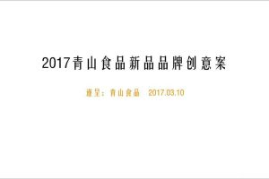 青山食品2017新品品牌创意方案（PDF）