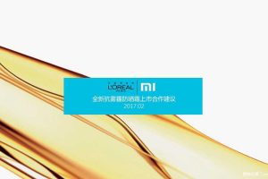 欧莱雅抗雾霾防晒产品x小米平台2017上市推广方案（PPT）