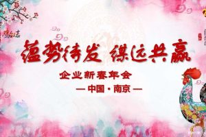 南京某企业2017新春年会策划方案（PPT）