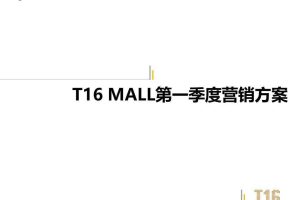 南昌铜锣湾T16 MALL-2017年第一季度营销方案（PDF）