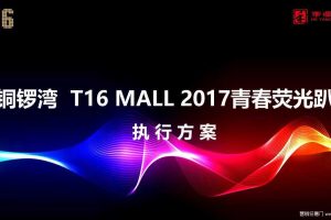 南昌铜锣湾T16 MALL 2017青春荧光趴活动方案（PDF）