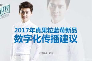蒙牛真果粒2017蓝莓新品上市传播方案（PPT）