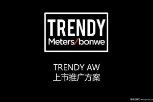 美特斯邦威2017新品上市推广方案（PDF）