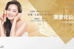 美素化妆品2017互联网整合营销方案（PDF）