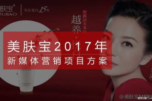 美肤宝2017新媒体营销方案（PPT）