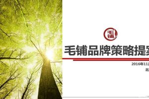 毛铺酒业2017品牌策略提案（PDF）