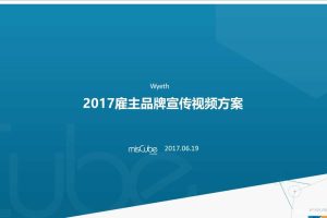 Wyeth惠氏2017雇主品牌宣传视频方案（PPT）