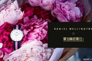 DW手表x聚划算欢聚日2017七夕传播方案（PPT）