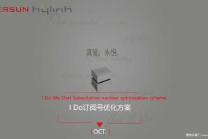 I Do订阅号优化运营规划方案（PPT）