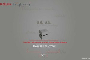 I Do服务号优化运营规划方案（PPT）