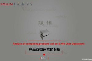 I Do竞品双微运营的分析（PPT）