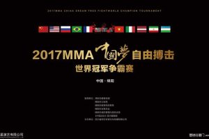 MMA2017中国梦自由搏击世界冠军争霸赛策划方案（PPT）