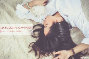 SLEK舒雷2017数字营销方案（PPT）