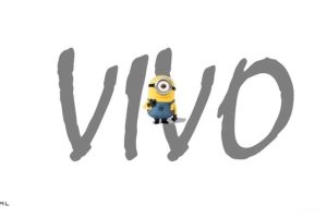 Vivo&小黄人2017年合作传播方案（PPT）