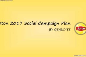 Lipton立顿2017社会化营销方案（PDF）