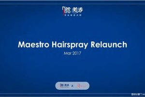 Maestro美涛发胶2017品牌上市传播方案（PDF）