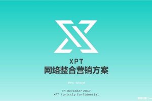 XPT蔚来驱动科技2017品牌传播策略方案（PDF）