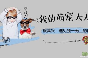 爱奇艺综艺《我的萌宠大人》2017商业招商方案【通案】（PDF）