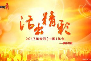 安利2017年会活动策划接待方案（PDF）