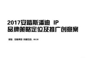 安踏斯潘迪IP2017品牌策略定位及推广创意案（PDF）