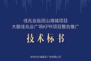 佳兆业城市广场KPR项目整合推广提报（PDF）